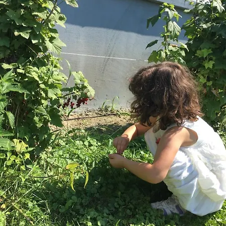 Apartament Etno Imanje Dorf